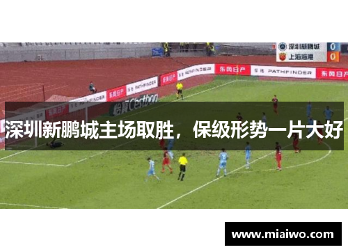 深圳新鹏城主场取胜，保级形势一片大好